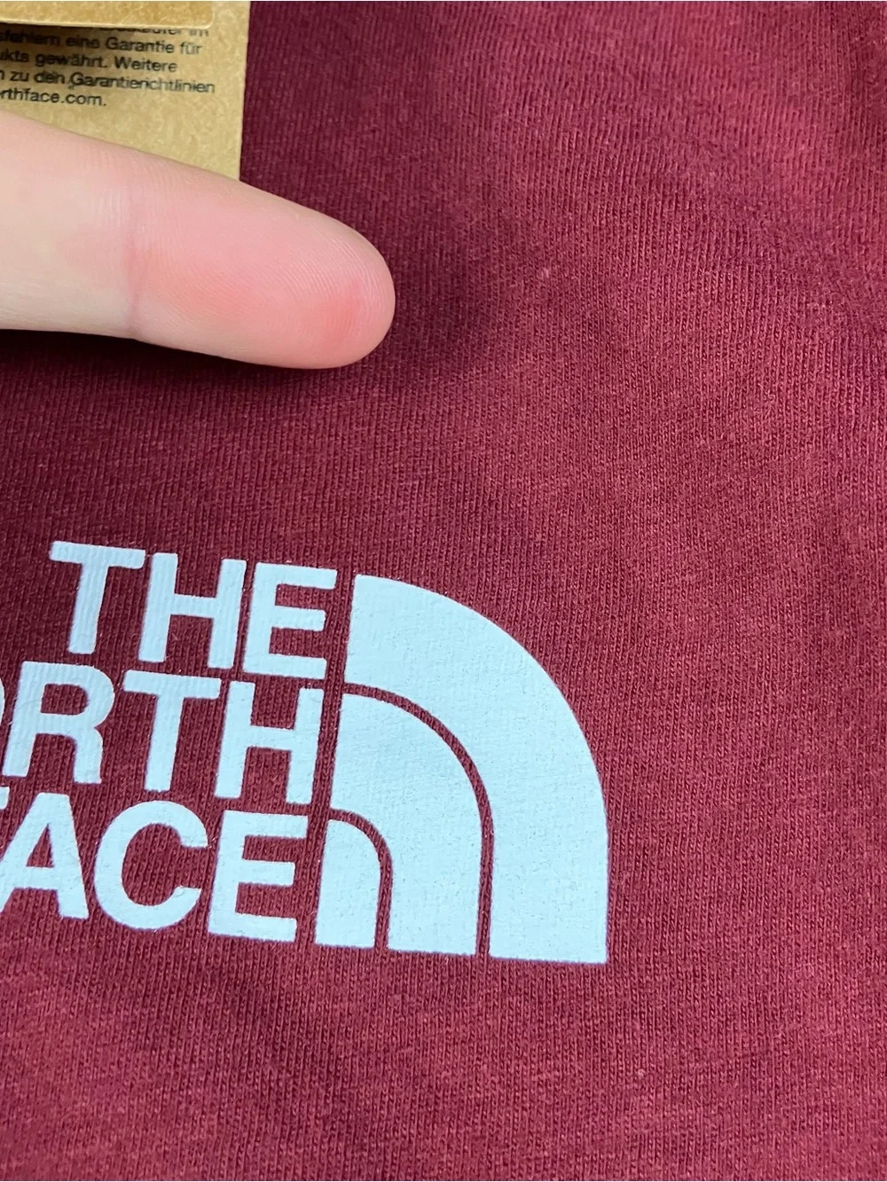 The North Face north face